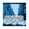 Scheibenfrostschutz bis -20°C