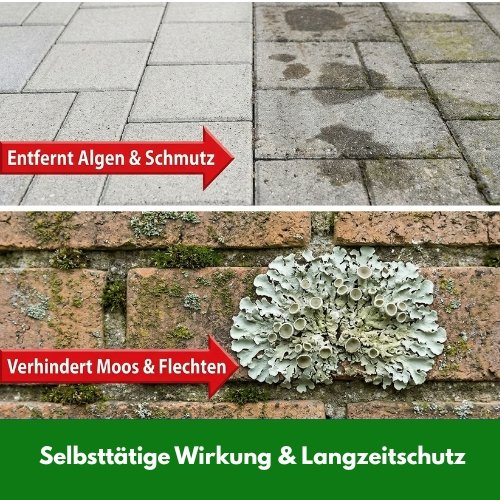 Algen & Grünbelagentferner Anwendungsfertig inkl. Arbeitshandschuhe